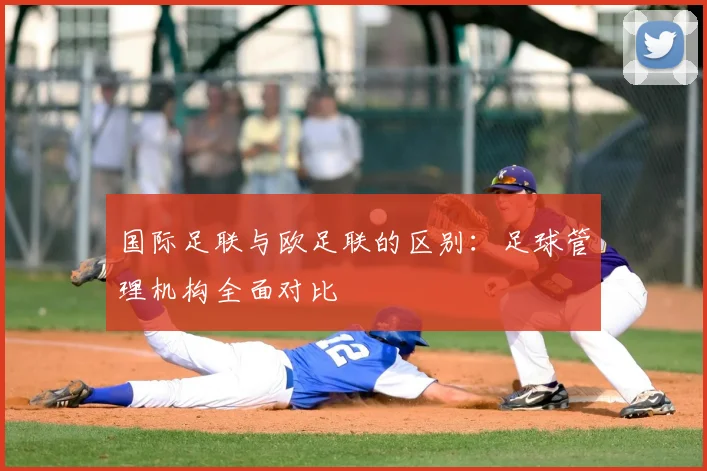 国际足联与欧足联的区别：足球管理机构全面对比